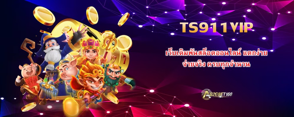 TS911VIP
